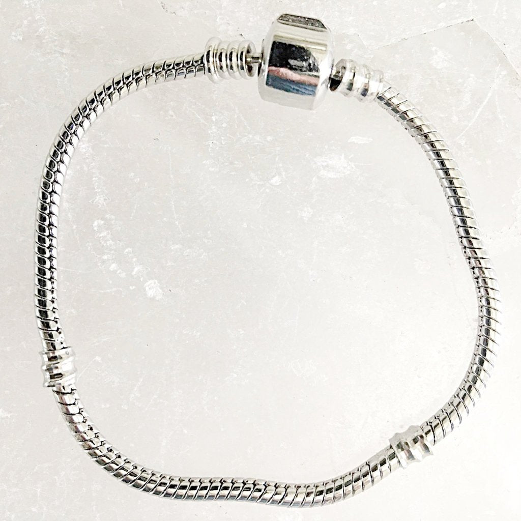 Large Hole Dangling Charms - Several Styles