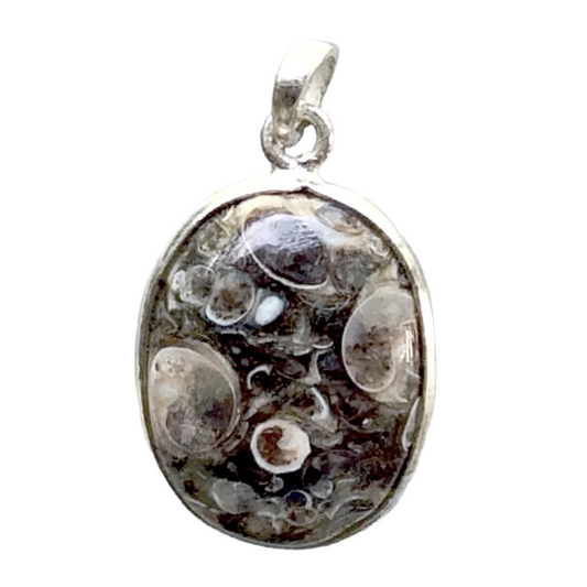 Turritella Agate Oval Sterling Pendant