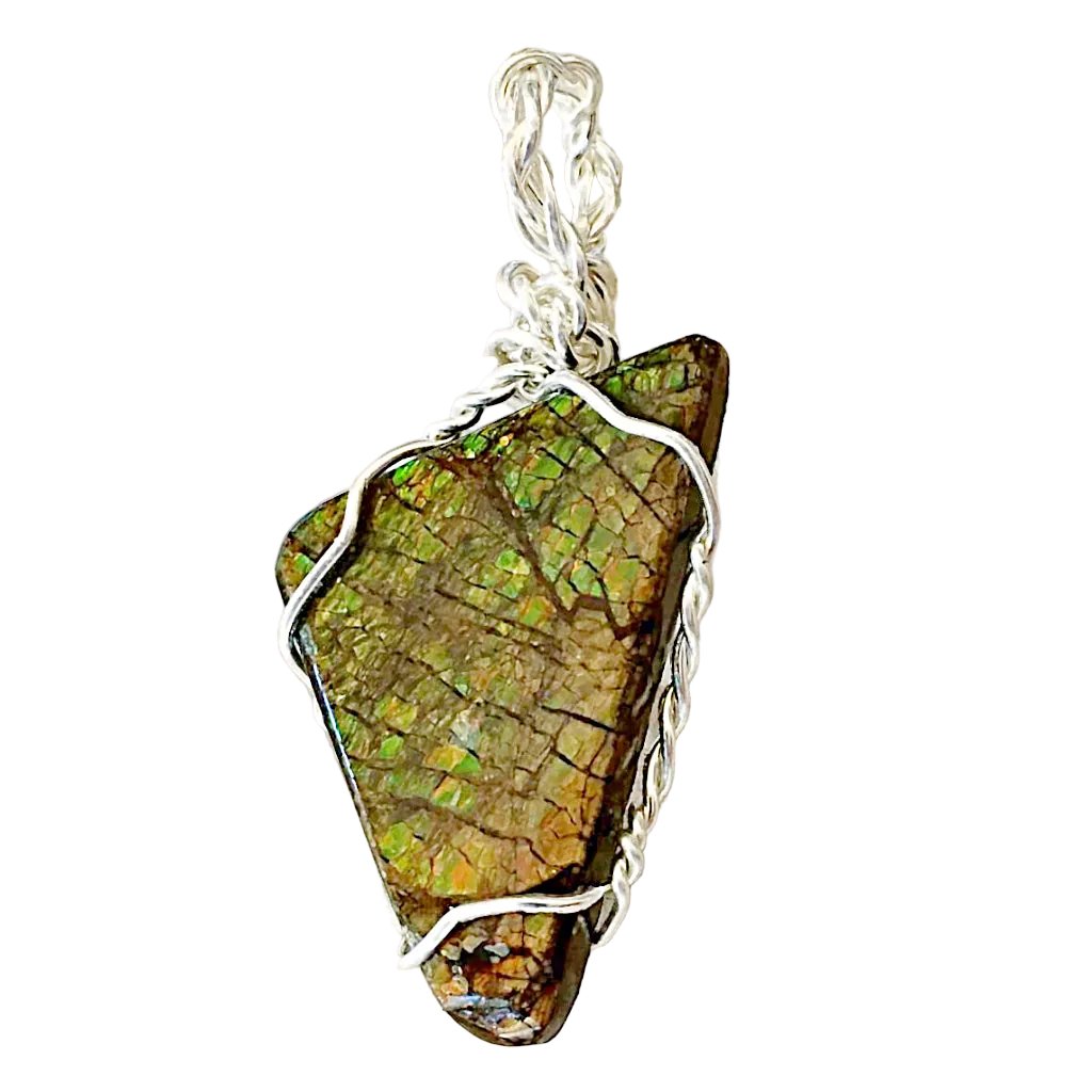 Ammolite Fossilized Pendants - New Earth Gifts