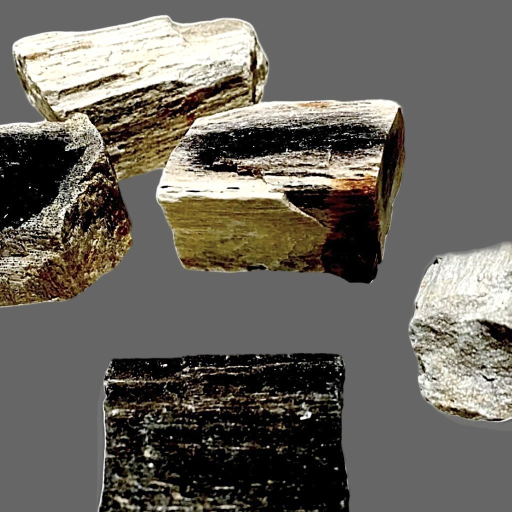 Petrified wood 1 inch specimen - new earth gifts